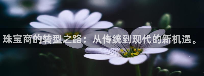 众腾娱乐注册:珠宝商的转型之路:从传统到现代的新机遇。