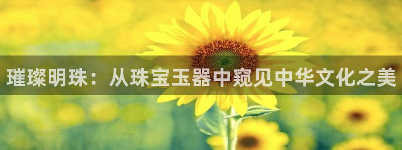 腾耀娱乐29999出众:璀璨明珠:从珠宝玉器中窥见中华文化之