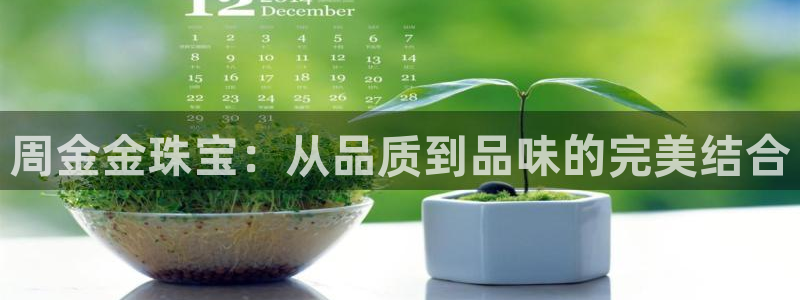 腾众娱乐是个啥:周金金珠宝:从品质到品味的完美结合