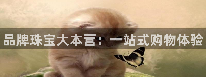 众腾娱乐:品牌珠宝大本营:一站式购物体验