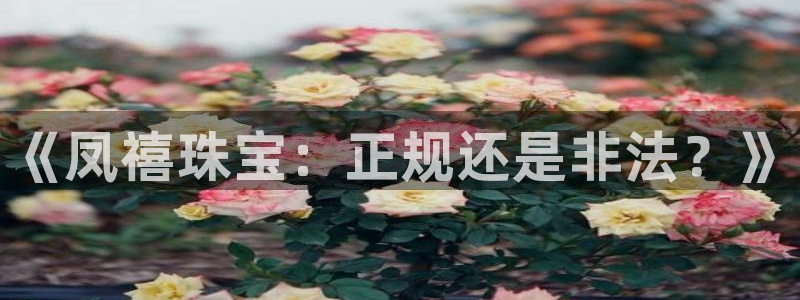 众腾娱乐扣款是正规的吗:《凤禧珠宝:正规还是非法?》