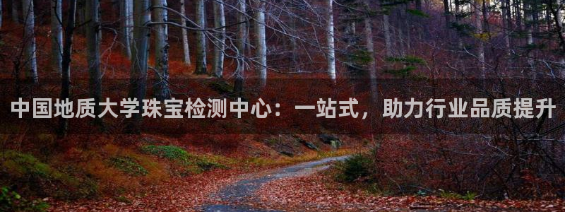 包头众腾娱乐密室逃脱:中国地质大学珠宝检测中心:一站式,助力